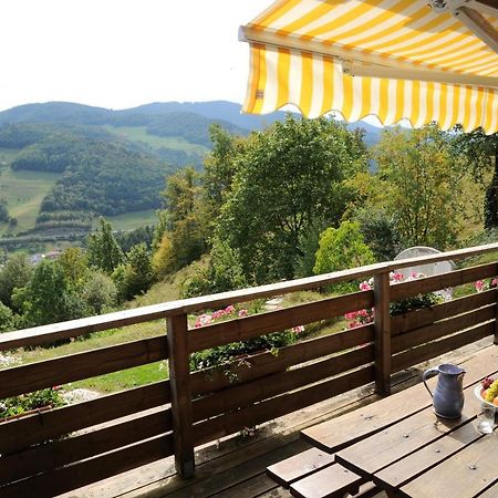 Chalet-Gite Berbuche Sainte-Croix-aux-Mines Dış mekan fotoğraf