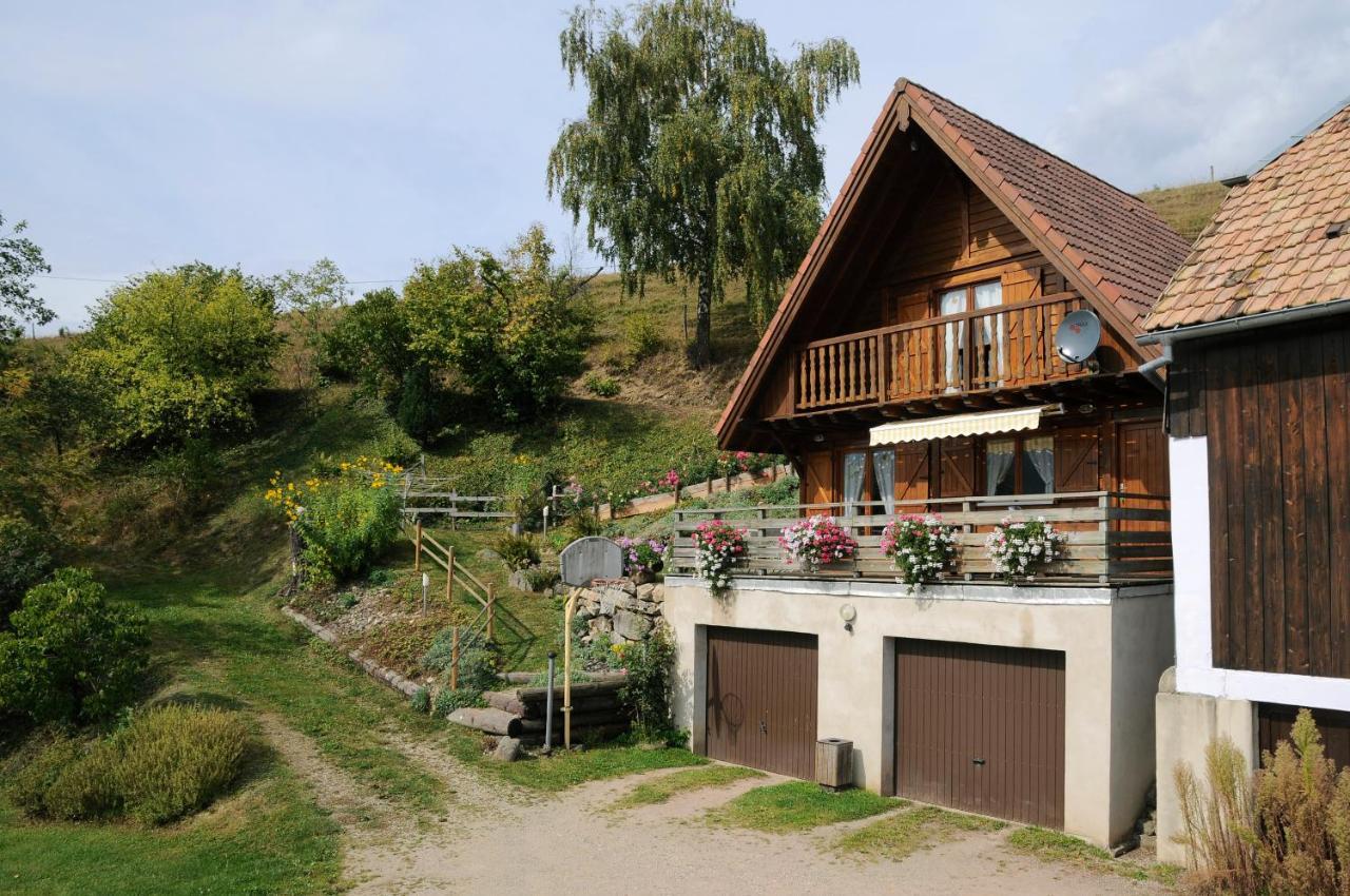 Chalet-Gite Berbuche Sainte-Croix-aux-Mines Dış mekan fotoğraf