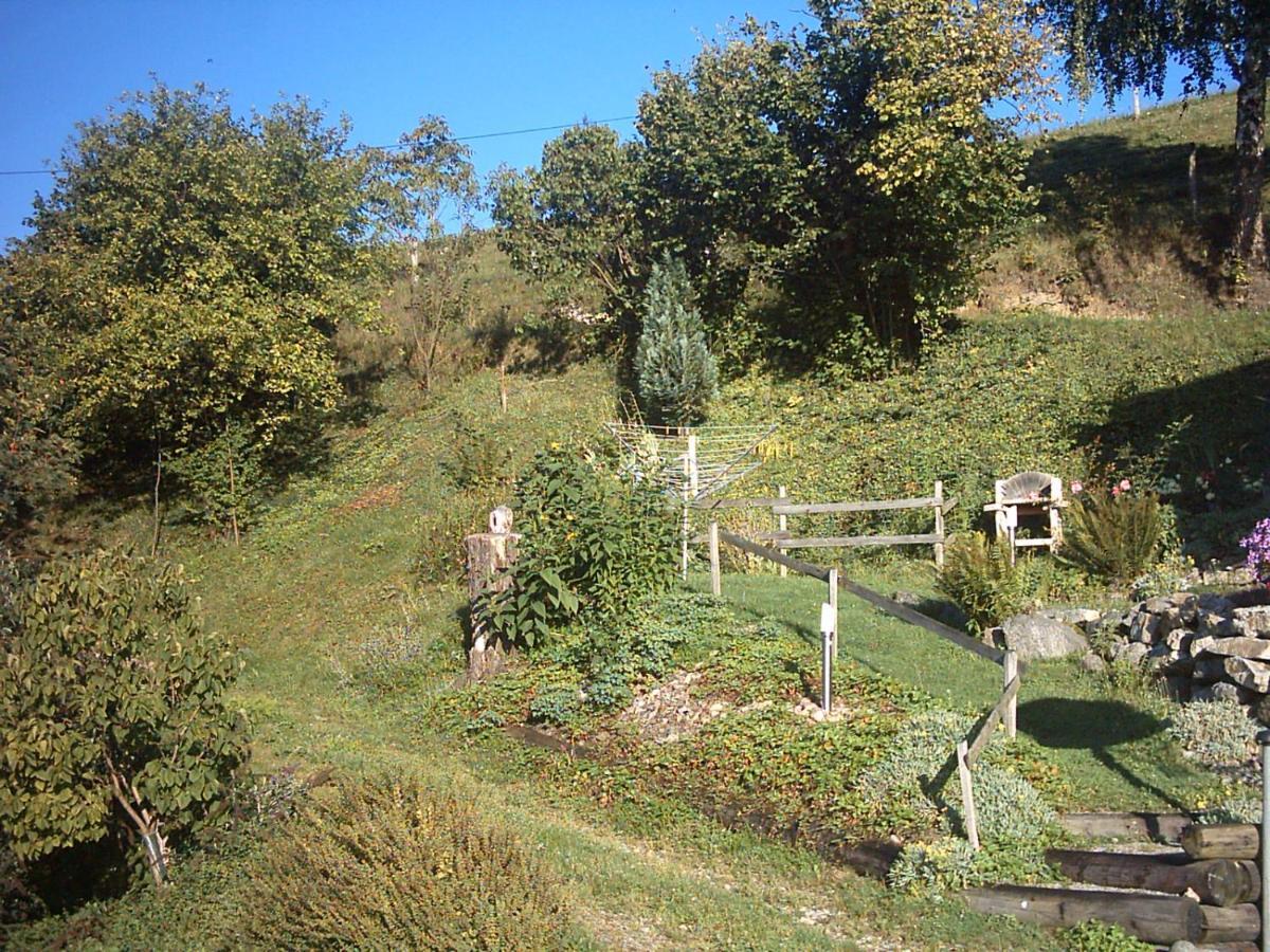 Chalet-Gite Berbuche Sainte-Croix-aux-Mines Dış mekan fotoğraf