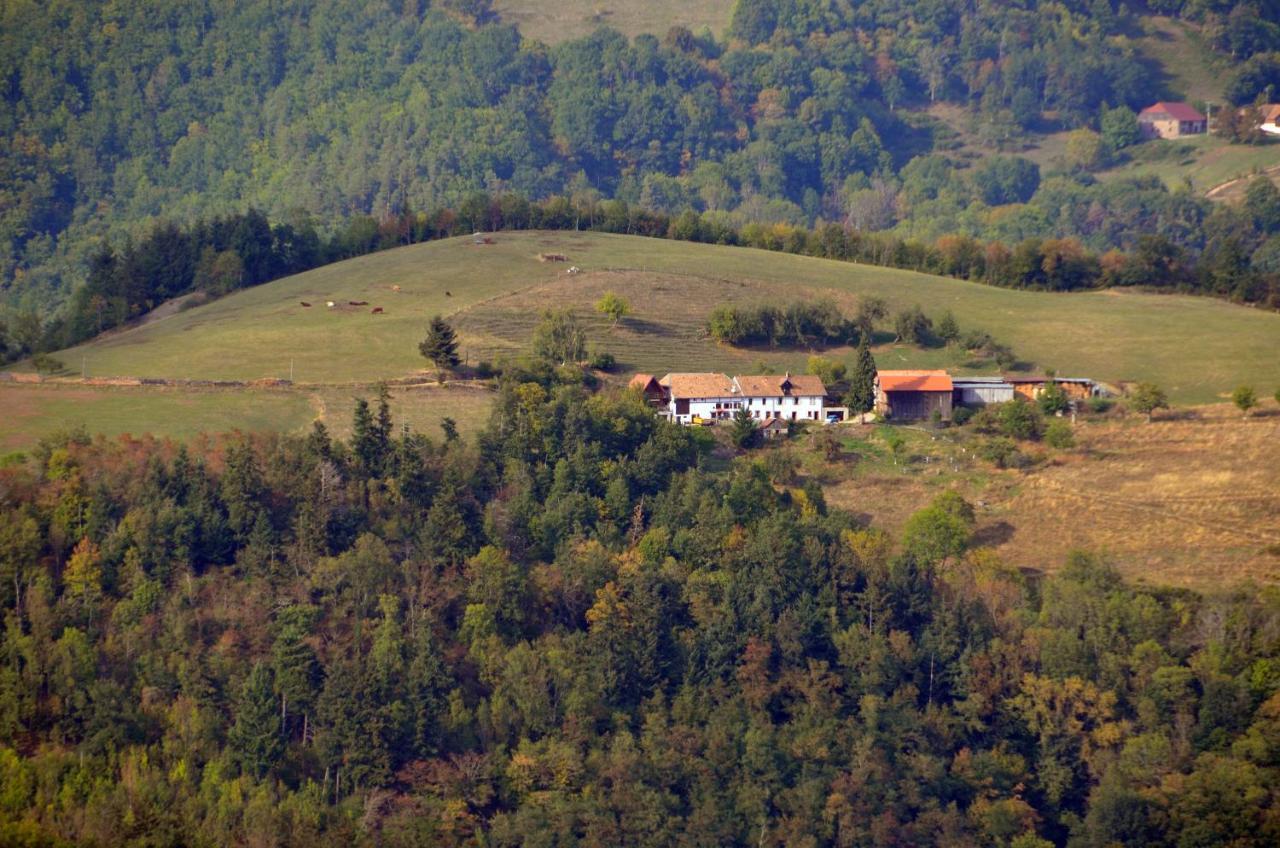 Chalet-Gite Berbuche Sainte-Croix-aux-Mines Dış mekan fotoğraf